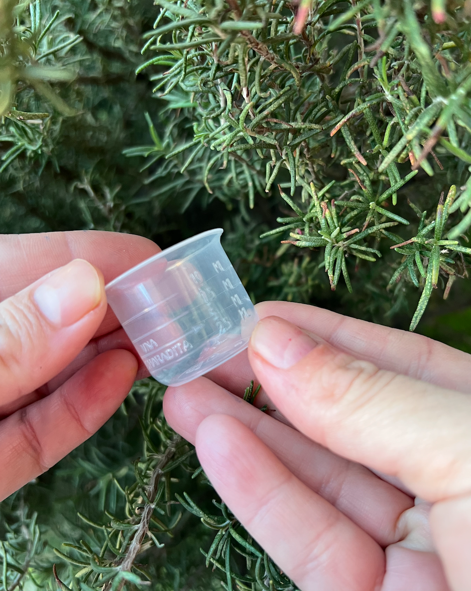 Cough No More (Alivio para la tos)