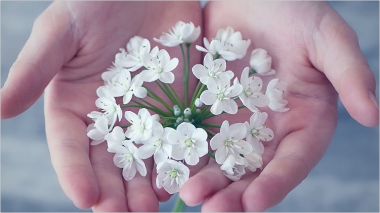 Paso 2: Selección de la Luna