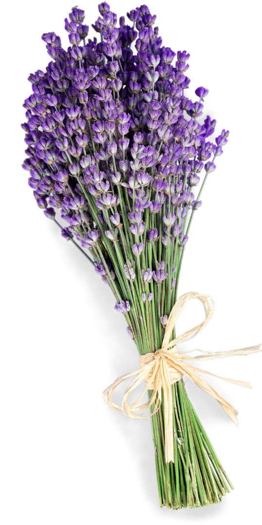 Beneficios curativos de las flores de bach, mexicanas y australianas