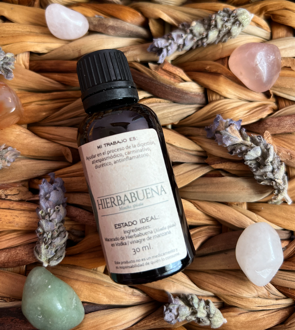 Tintura madre de Hierbabuena (Mentha spicata):