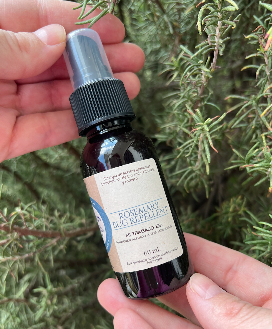 Rosemary Bug Repellent (Repelente de insectos)