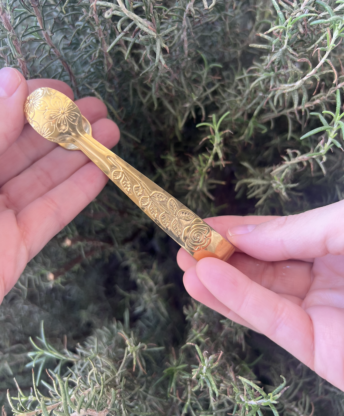 Pinzas para carbón⎮Grabada dorada