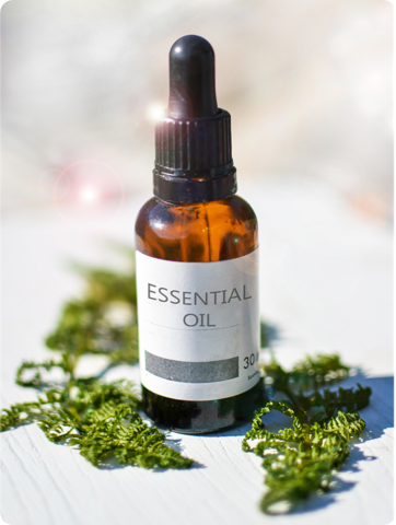 Tintura madre Apapacho