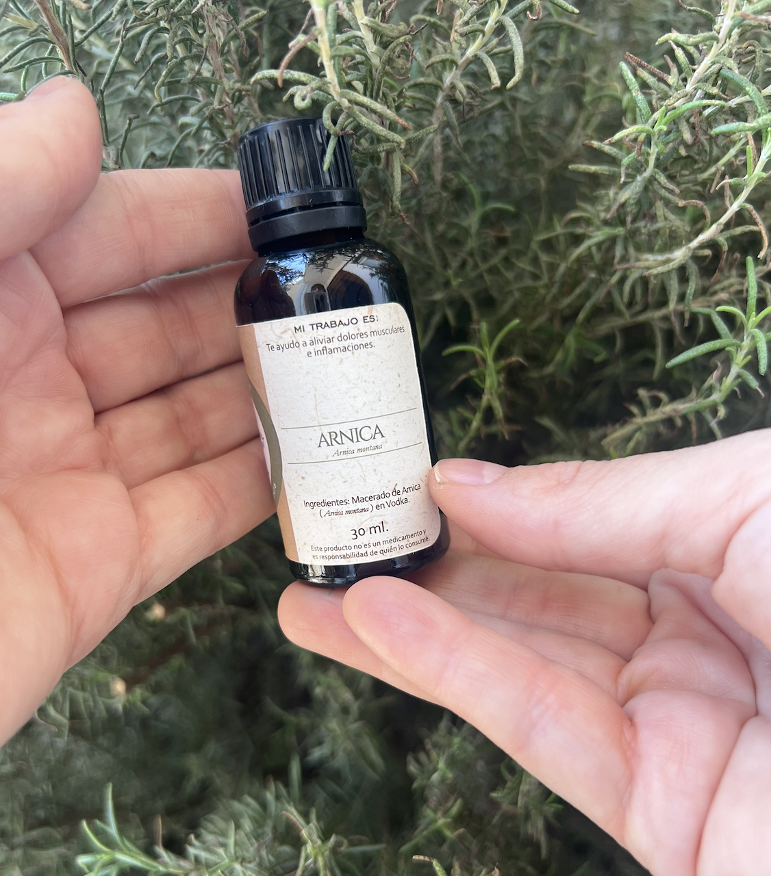 Tintura madre de Árnica