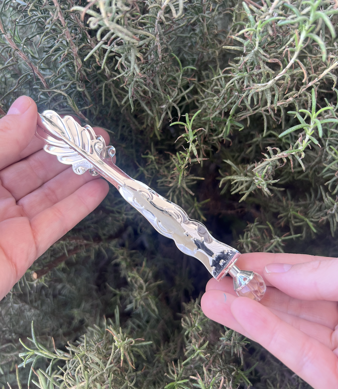 Pinzas para carbón⎮Hoja plateada