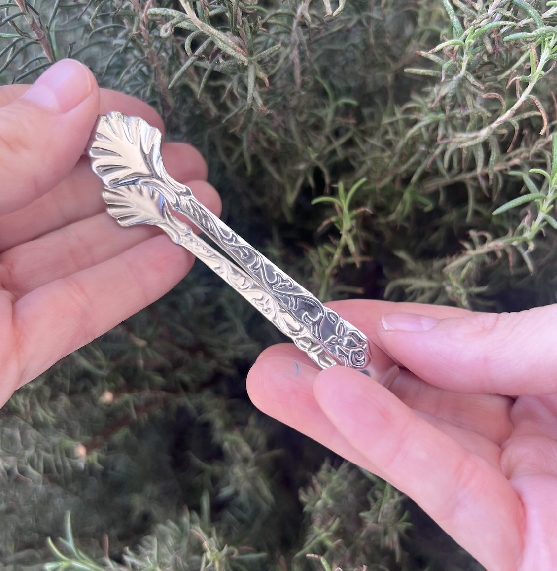 Pinzas para carbón⎮Concha plateada