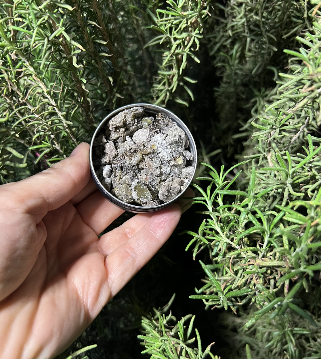 Copal natural para Sahumar