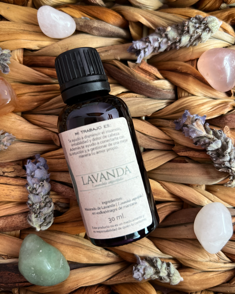 Tintura madre de Lavanda