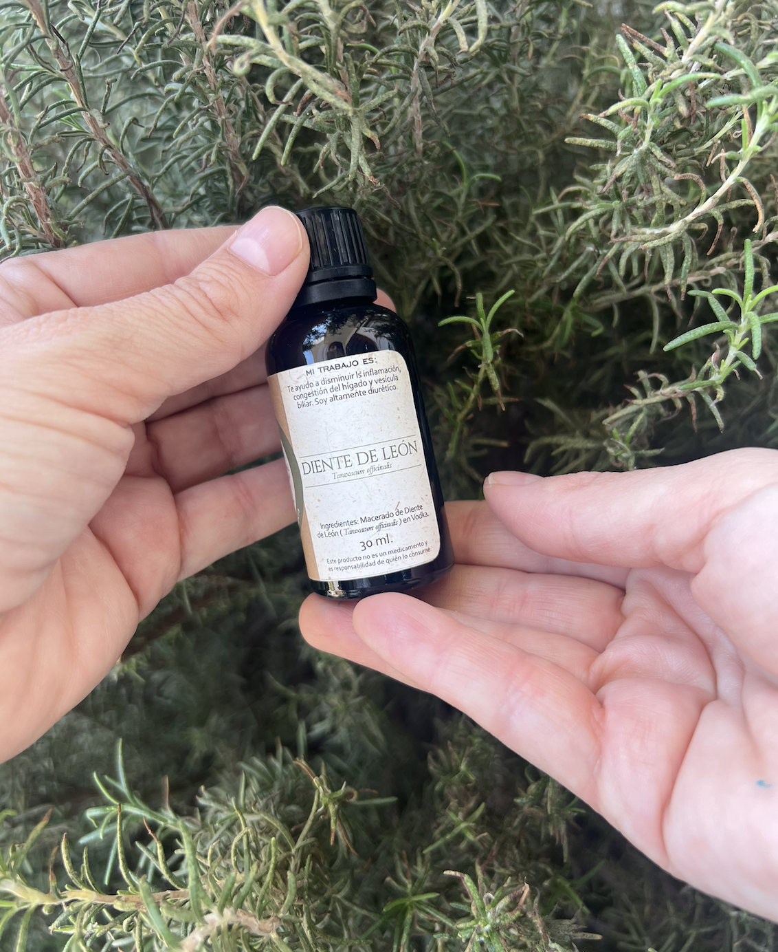 Tintura madre Diente de león