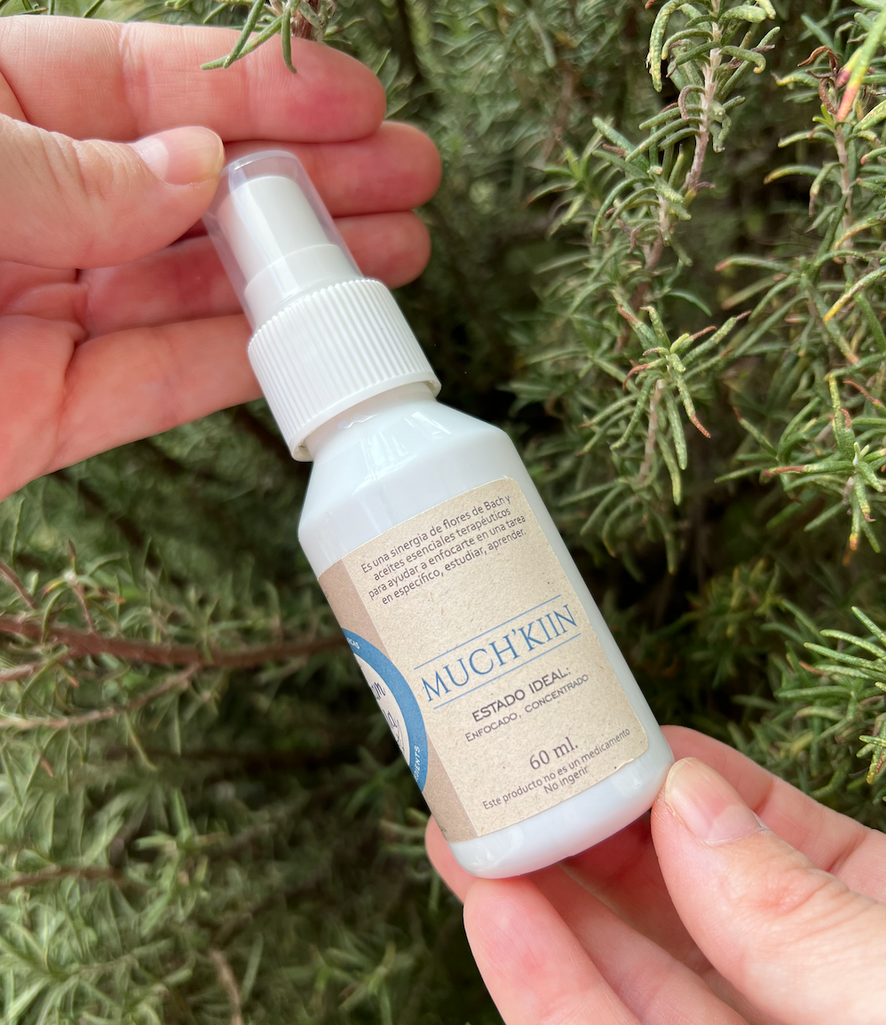 Much’kiin (Concentración)