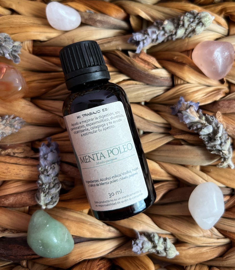 Menta poleo (Mentha pulegium):