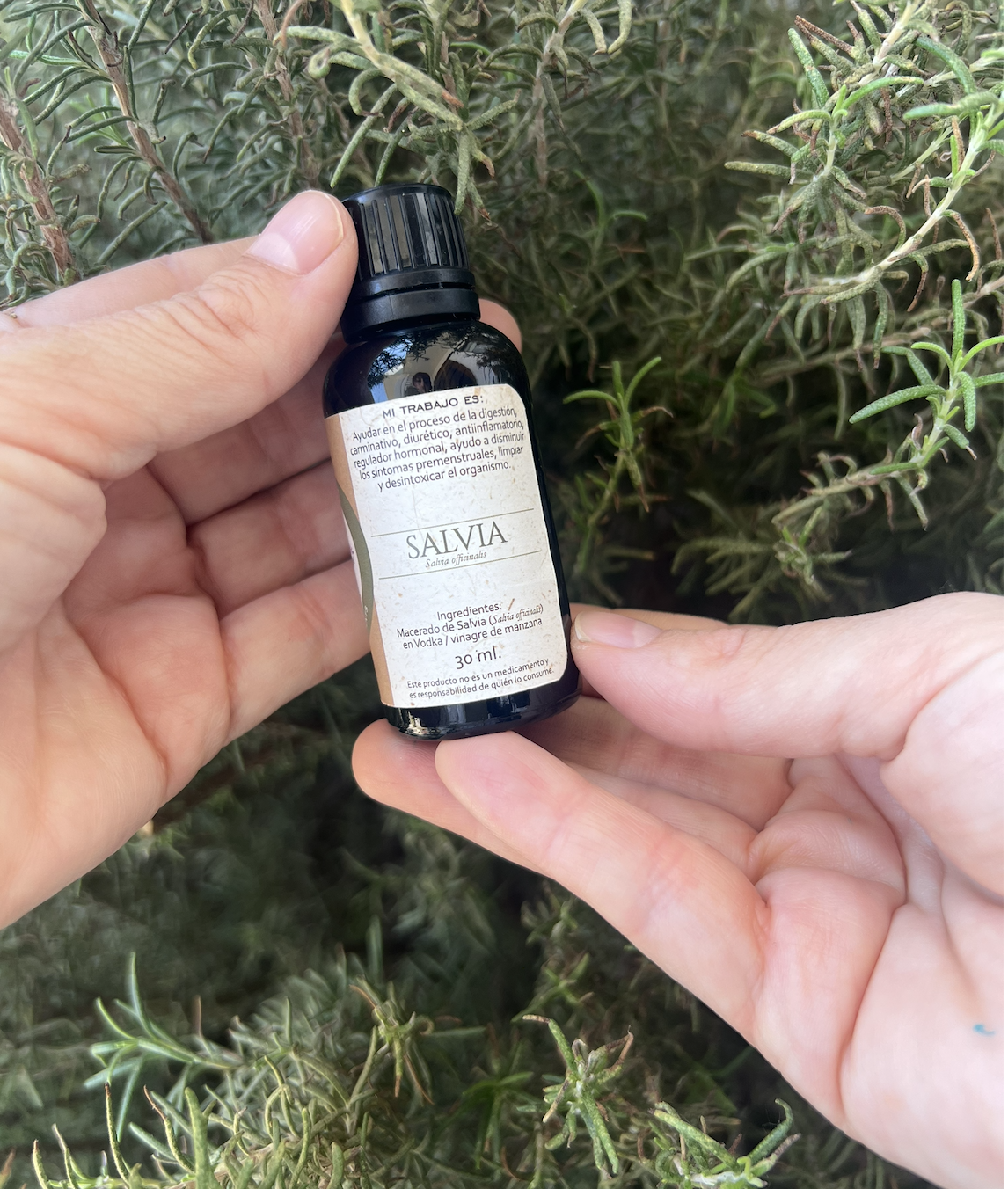 Tintura madre de Salvia