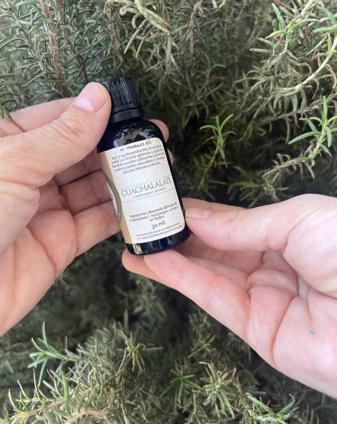 Tintura madre Cuachalalate